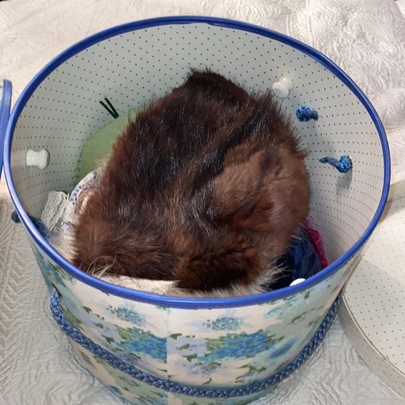 Gorgeous Vintage Hat box with assorted hats including Fur hats - Picture 4 of 15